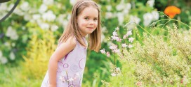 A Garden Blooms