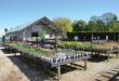Thame Out Summer 2026 Mill View